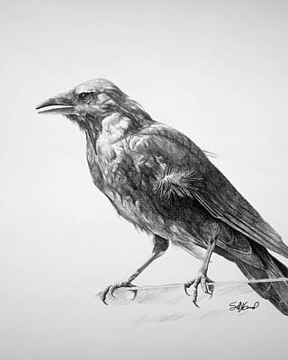 Crow Posters for Sale