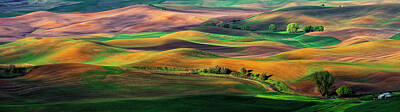 Palouse Posters