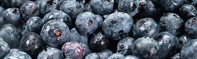 Blueberry Posters