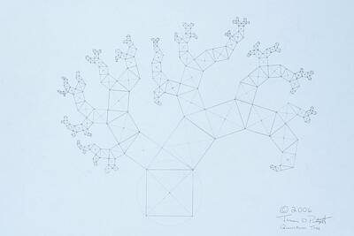 Fractal Tree Drawings Posters