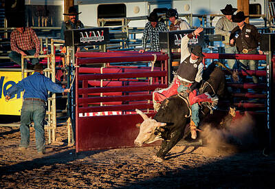 Pro Rodeos Posters