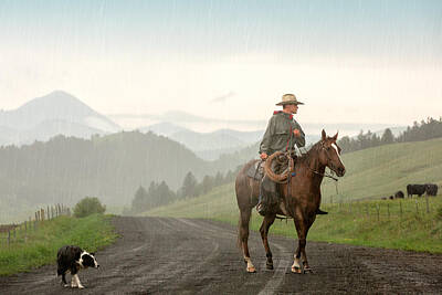 Working Cowboy Photos Posters