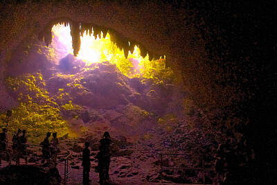 Parque De Las Cavernas Del Rio Camuy Posters