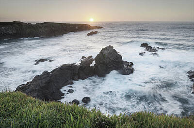 Mendocino California Coast Paintings Posters