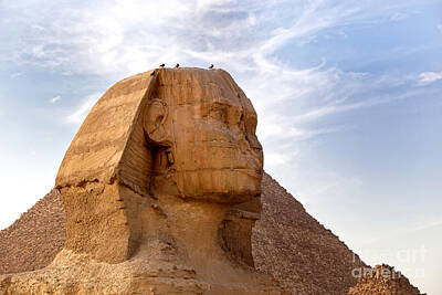 Great Sphinx Posters