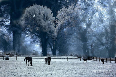 Infrared Black White Surreal Horse Posters