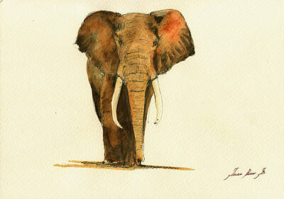 African Elephants Posters