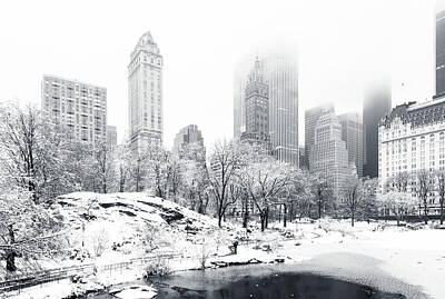 Snow Central Park Posters