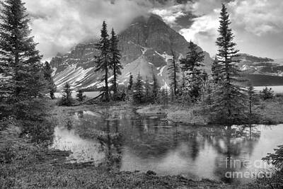 Bow Lake Stormy Reflections Black And White Poster