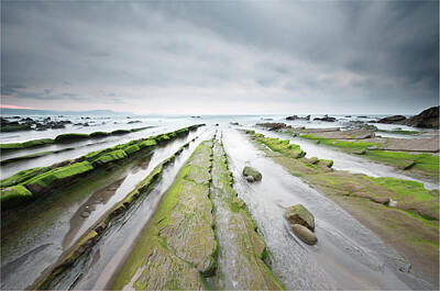 Green Moss Rocks On Barrika Beach Fleece Blanket by © Francois Marclay 