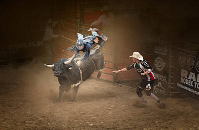 Bull in Rodeo - USA - Affiche photo 70x50 avec cadre