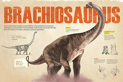 Brachiosaurus Posters for Sale - America Fine Art