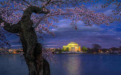 Jefferson Memorial Posters