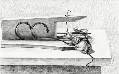 https://render.fineartamerica.com/images/rendered/search/poster/8/5/break/images/artworkimages/medium/3/mouse-in-a-mousetrap-1801-by-jean-bernard-1775-1883-original-from-the-rijksmuseum-digitally-enhance-artistic-rifki.jpg
