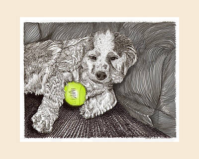 Dog With Tennis Ball Drawings Posters