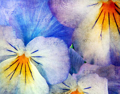 Blue Pansy Posters