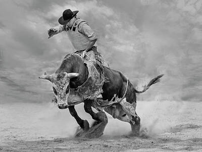 Bull Riding Bull Rider Poster Bucking Bull Rodeo 