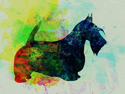Scottish Terrier Watercolor Posters