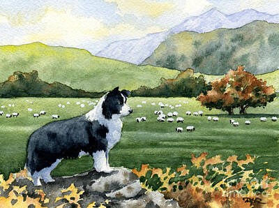 Border Collie Posters