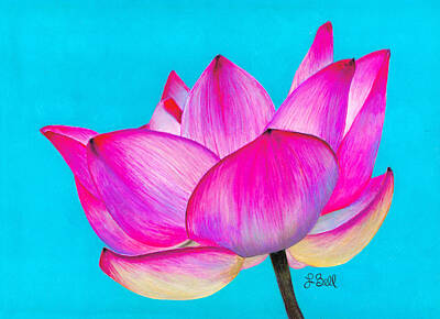 Blue Purple Violet Magenta Pink Flowers Water Lily Lilies Posters