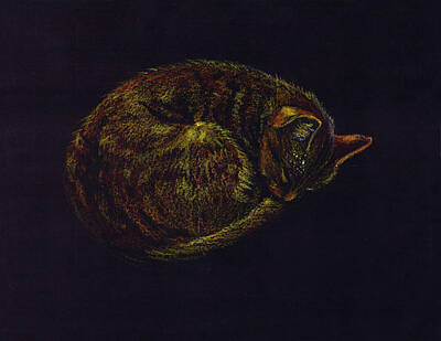A Cat Soundly Asleep-oil Pastel Posters