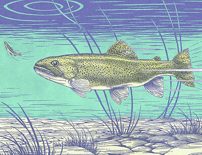Big Fish Little Fish Posters for Sale - Fine Art America