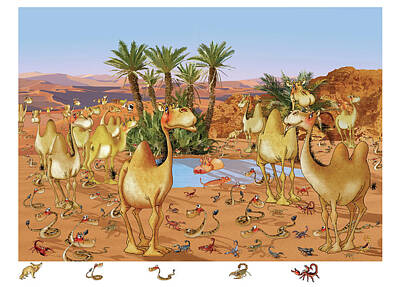 Dromedaries Paintings Posters