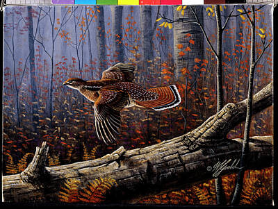 Ruffed Grouse Posters