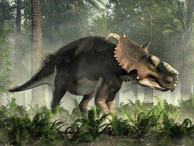 Ceratopsid Posters
