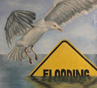 Flooding Drawings Posters