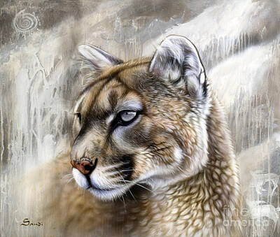 Mountain Lion Posters