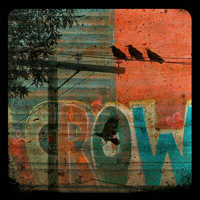 Urban Crow Collage Posters