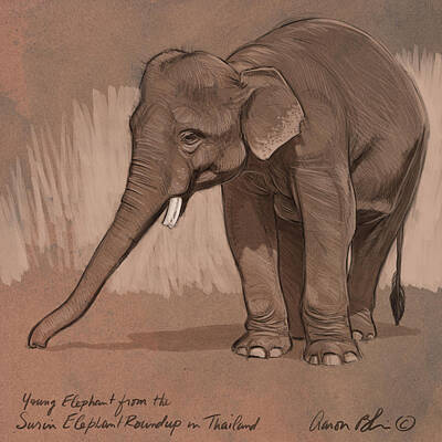 Elephants Digital Art Posters