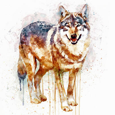 Wolf Illustration Posters (Page #4 of 34) | Fine Art America