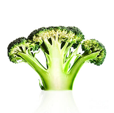 Broccoli Posters