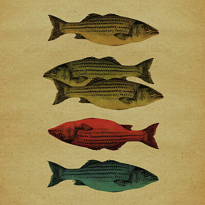 Two Fish Posters