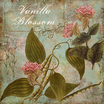 Vanilla Plant Posters