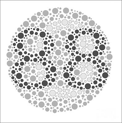 Colour Blindness Test Chart #358 by Chongqing Tumi Technology Ltd/science  Photo Library