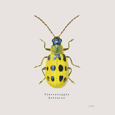 Spotted Cucumber Beetle Posters