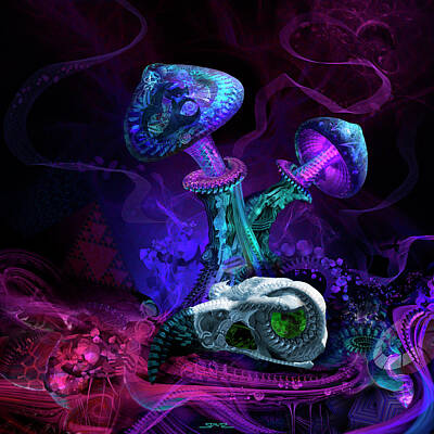 Mushroom Wallpaper [af50160290264aa0a909] by Wallpaper HD | WidgetClub
