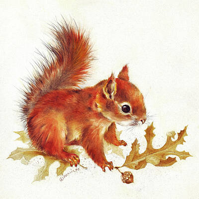 Red Squirrel Poster Various Options