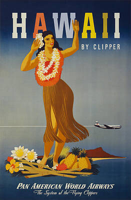 VINTAGE HAWAII AMERICAN AIRLINES TRAVEL A2 POSTER PRINT