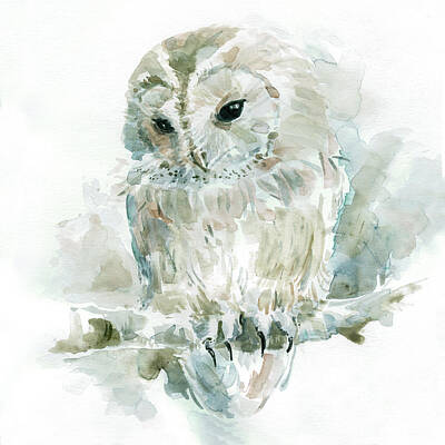 Owl Watercolor Paintings