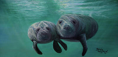 Save The Gulf Of Mexico Paintings