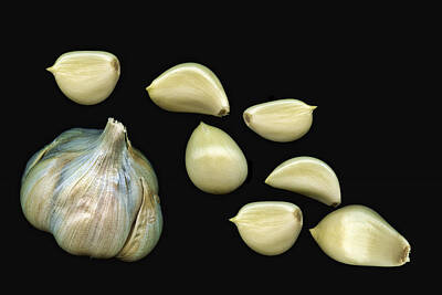 Designs Similar to Garlic Cloves by Tom Mc Nemar