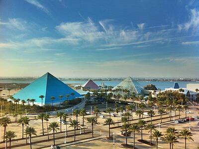  Photograph - Moody Gardens in Galveston by Tim Stanley