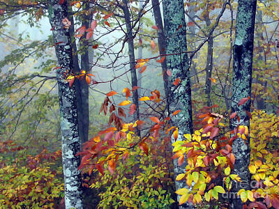 Solitude Allegheny Mountains Digital Art