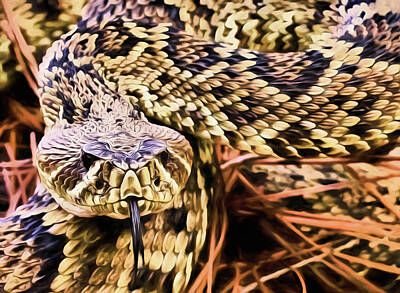 Eastern Diamondback Rattlesnake Digital Art