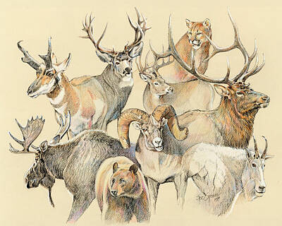 Group Of Animals Paintings - Fine Art America