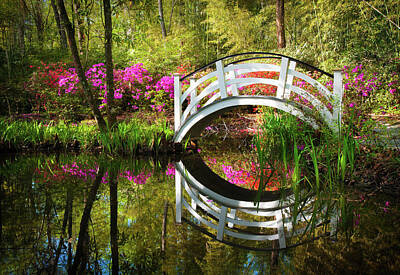 Magnolia Gardens Bridge Art